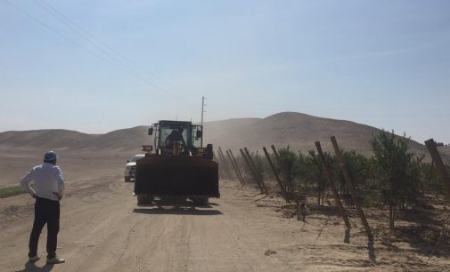 Autodema recuperó terrenos en Pampa Baja – Majes