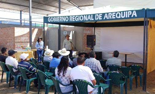 EMPRESA DE LA IRRIGACIÓN MAJES OBTIENE CERTIFICACIÓN INTERNACIONAL GLOBAL GAP