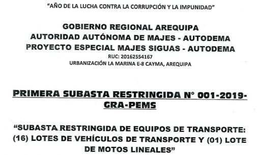 PRIMERA SUBASTA RESTRINGIDA N° 001-2019-GRA-PEMS