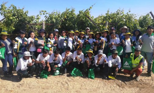 (Video) Escolares de Tarucamarca conocieron Vivero vitivinícola de Autodema, Centro de Reconversión Agrícola y bocatoma R1