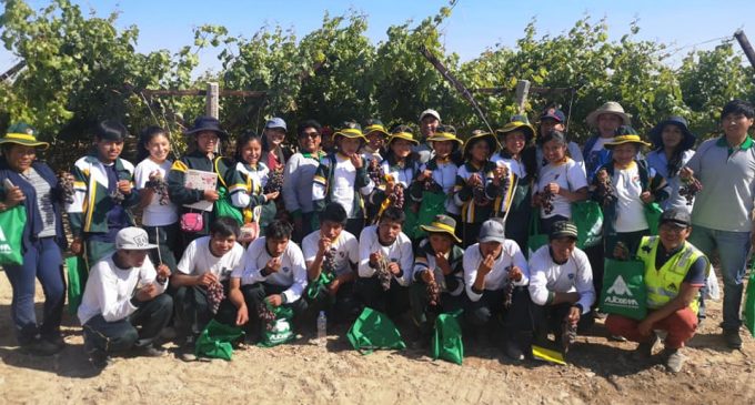 (Video) Escolares de Tarucamarca conocieron Vivero vitivinícola de Autodema, Centro de Reconversión Agrícola y bocatoma R1