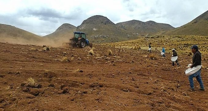 Autodema realiza siembra como parte del programa de instalación de pastos mejorados