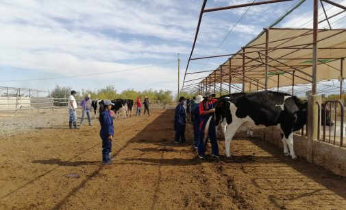 “Curso de Inseminación Artificial y diagnóstico de preñez en vacunos”, se llevó a cabo del 19 al 21 de mayo