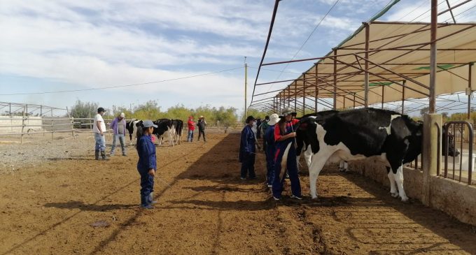 “Curso de Inseminación Artificial y diagnóstico de preñez en vacunos”, se llevó a cabo del 19 al 21 de mayo