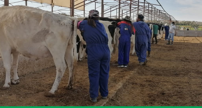 AGRICULTORES, ESTUDIANTES Y PROFESIONALES PECUARIOS SON CAPACITADOS EN ESCUELA DE ENTRENAMIENTO AGRO GANADERO DE MAJES DE AUTODEMA