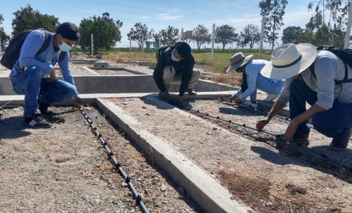 UNSA y AUTODEMA realizan investigación de suelos para proyectarla a agricultores