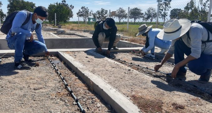 UNSA y AUTODEMA realizan investigación de suelos para proyectarla a agricultores