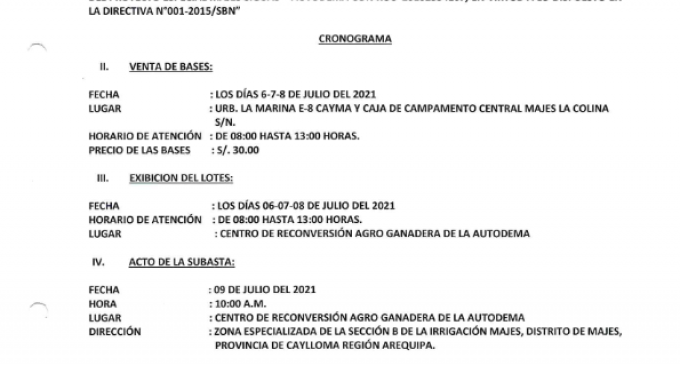 SEGUNDA SUBASTA RESTRINGIDA N° 002-2021-GRA-PEMS