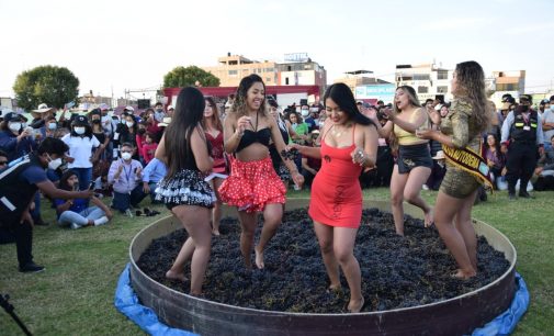 IX FESTIVAL DE LA VENDIMIA MAJEÑA 2022 CONGREGÓ A 10 BODEGAS DE AREQUIPA