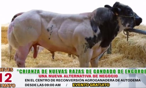 AUTODEMA Y LA MUNICIPALIDAD DISTRITAL DE MAJES REALIZARÁN EL “DIA DE CAMPO GANADERO” ESTE 12 DE MAYO