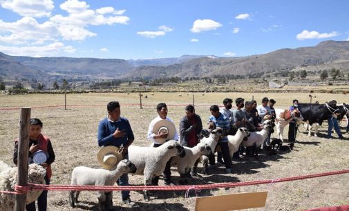 PRODUCTOS AUTODEMA FUERON EXPUESTOS EN LA V FERIA AGROPECUARIA ARTESANAL TURÍSTICA DE ACHOMA