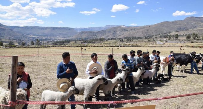 PRODUCTOS AUTODEMA FUERON EXPUESTOS EN LA V FERIA AGROPECUARIA ARTESANAL TURÍSTICA DE ACHOMA