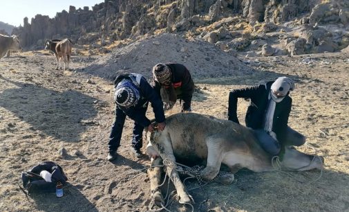 AUTODEMA BRINDA ASISTENCIA TÉCNICA EN TARUCAMARCA Y REMOCIÓN DE TIERRAS EN PUSA PUSA