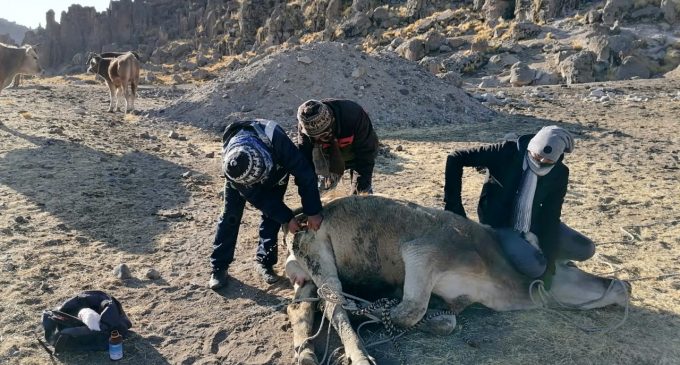 AUTODEMA BRINDA ASISTENCIA TÉCNICA EN TARUCAMARCA Y REMOCIÓN DE TIERRAS EN PUSA PUSA