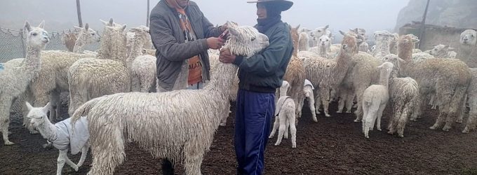 TRABAJO QUE VIENE REALIZANDO LA META DE GESTIÓN AMBIENTAL Y SOCIAL EN PUSA PUSA Y TARUCAMARCA