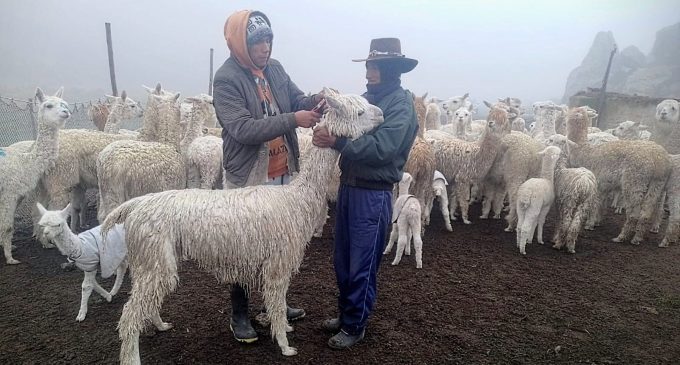 TRABAJO QUE VIENE REALIZANDO LA META DE GESTIÓN AMBIENTAL Y SOCIAL EN PUSA PUSA Y TARUCAMARCA