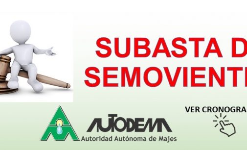 AUTODEMA SUBASTARÁ 28 SEMOVIENTES