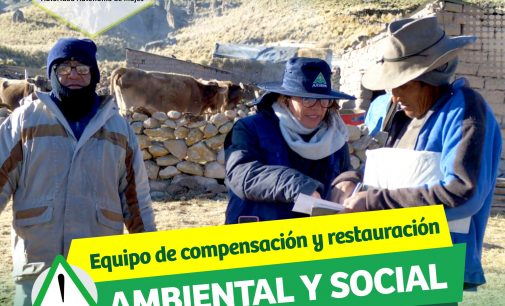 NUESTRO EQUIPO DE COMPENSACIÓN Y RESTAURACIÓN AMBIENTAL Y SOCIAL VIENE TRABAJANDO ARDUAMENTE EN LOS ANEXOS DE TARUCAMARCA, PUSA PUSA Y APACHETA RAJADA – PROVINCIA DE CAYLLOMA.