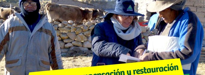NUESTRO EQUIPO DE COMPENSACIÓN Y RESTAURACIÓN AMBIENTAL Y SOCIAL VIENE TRABAJANDO ARDUAMENTE EN LOS ANEXOS DE TARUCAMARCA, PUSA PUSA Y APACHETA RAJADA – PROVINCIA DE CAYLLOMA.