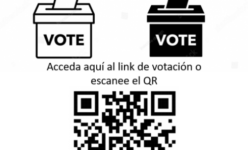 VOTACIÓN PARA EL COMITÉ DE PLANIFICACIÓN DE LA CAPACITACIÓN AUTODEMA 2023-2025