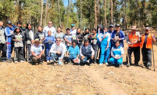 CONTRIBUYENDO AL MEDIO AMBIENTE: AUTODEMA LIDERA CAMPAÑA DE REFORESTACIÓN EN EL DISTRITO DE LARI – VALLE DEL COLCA