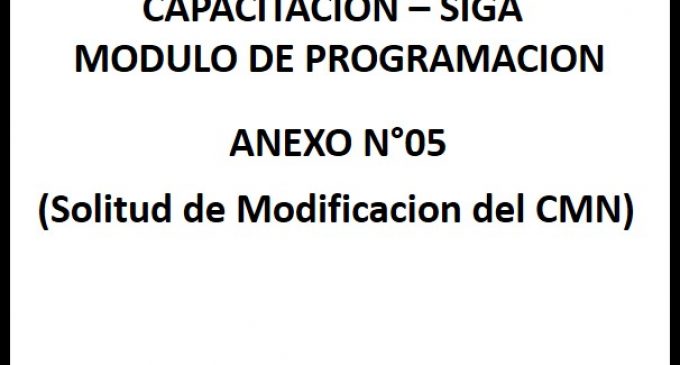 CAPACITACIÓN SIGA: Anexo 5