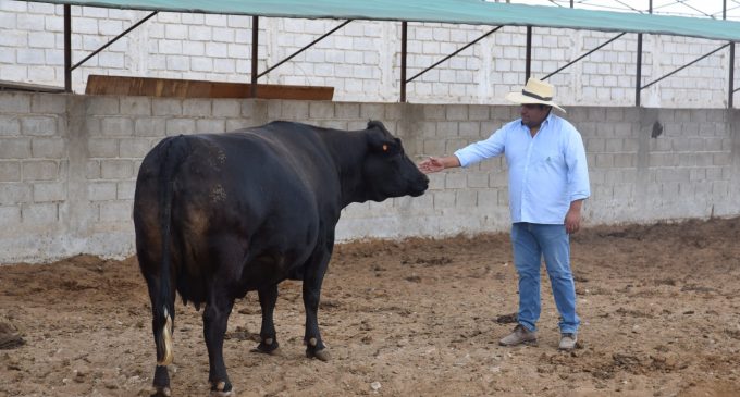 PEIMS – Autodema organiza curso internacional para el mejoramiento de ganado