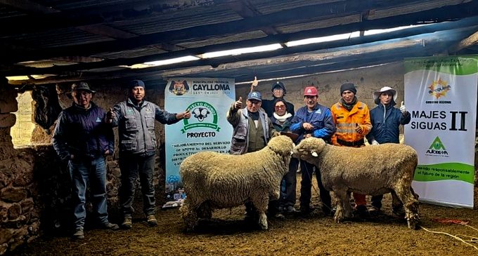 PEIMS – Autodema realizó 5 232 atenciones de animales en zonas de influencia del proyecto Majes