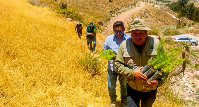 PEIMS – Autodema impulsa la reforestación en Huambo con la entrega de 4000 plantones forestales