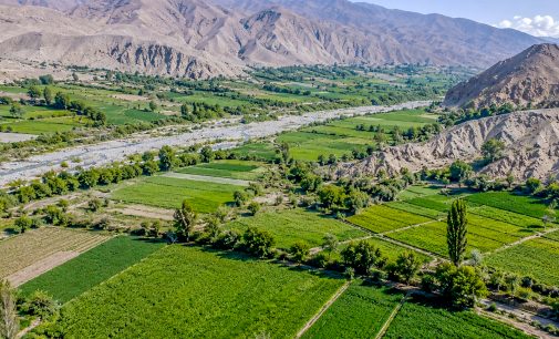 Gobierno Regional de Arequipa impulsará parcela demostrativa para fortalecer la adaptación agrícola frente al Fenómeno El Niño
