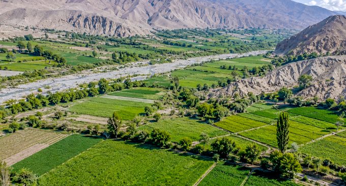 Gobierno Regional de Arequipa impulsará parcela demostrativa para fortalecer la adaptación agrícola frente al Fenómeno El Niño